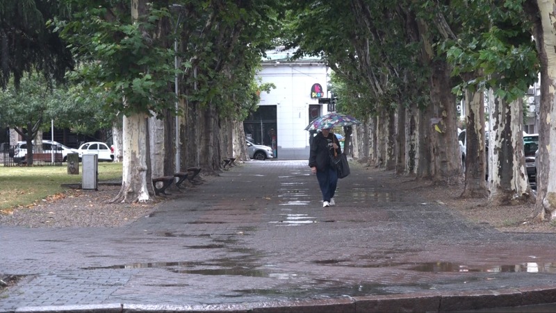 Alerta amarilla por tormentas para la noche de este jueves